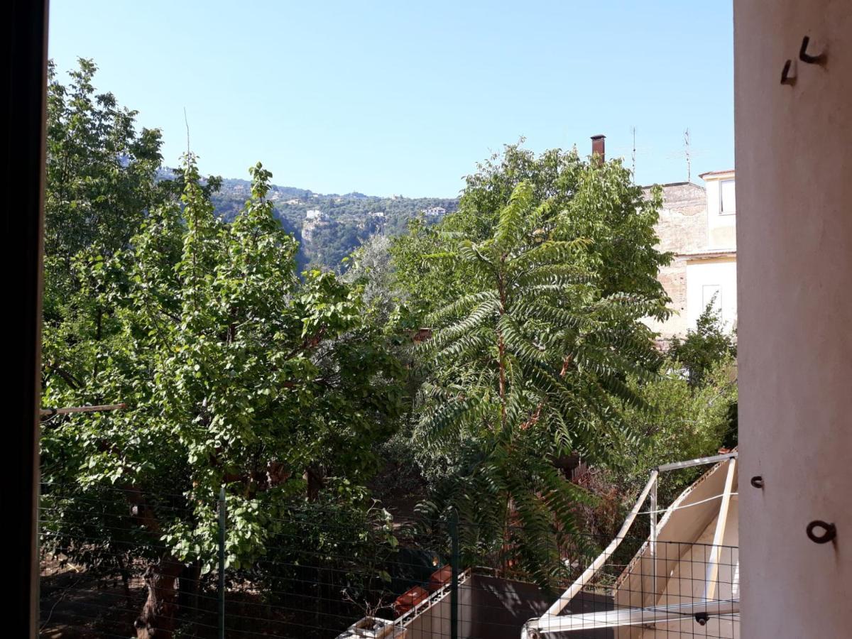 Rita Flat Apartment Sorrento Bagian luar foto