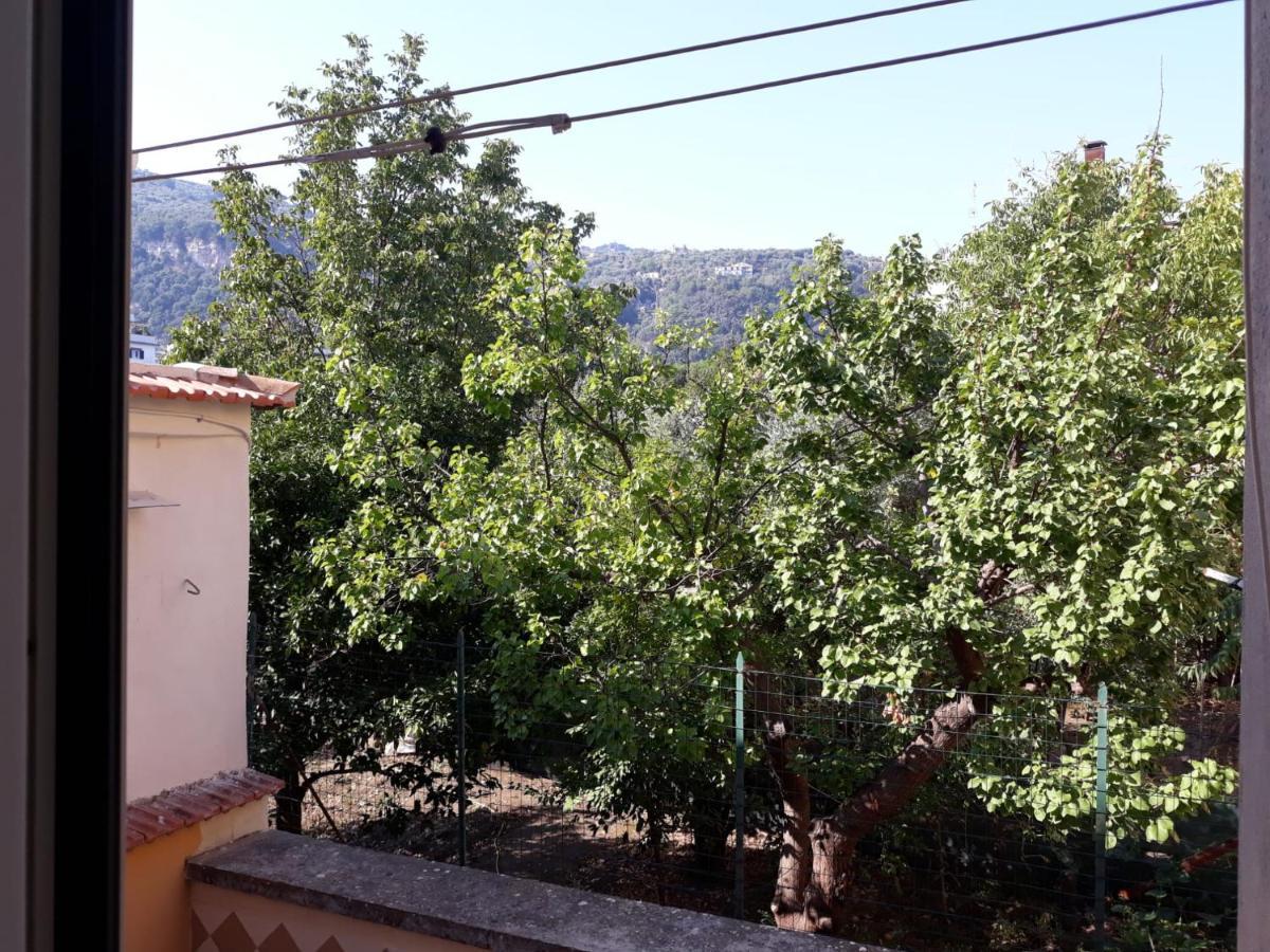 Rita Flat Apartment Sorrento Bagian luar foto